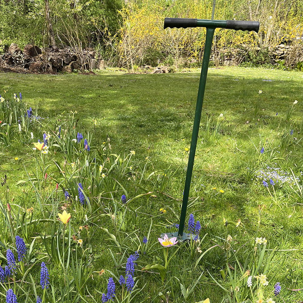 Plantador de bulbos vertical Herramienta de jardín ergonómica de mango largo para una fácil plantación
