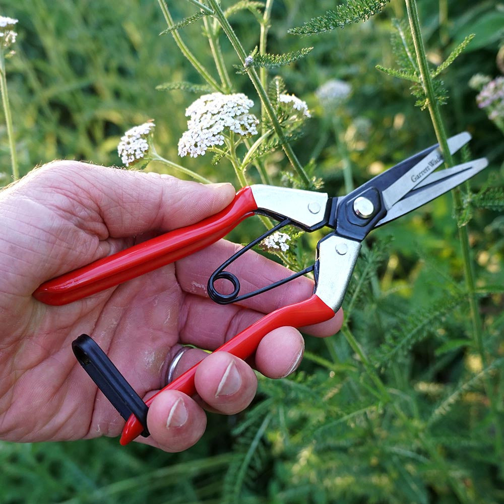 Tijeras de frutas de punta larga con resorte