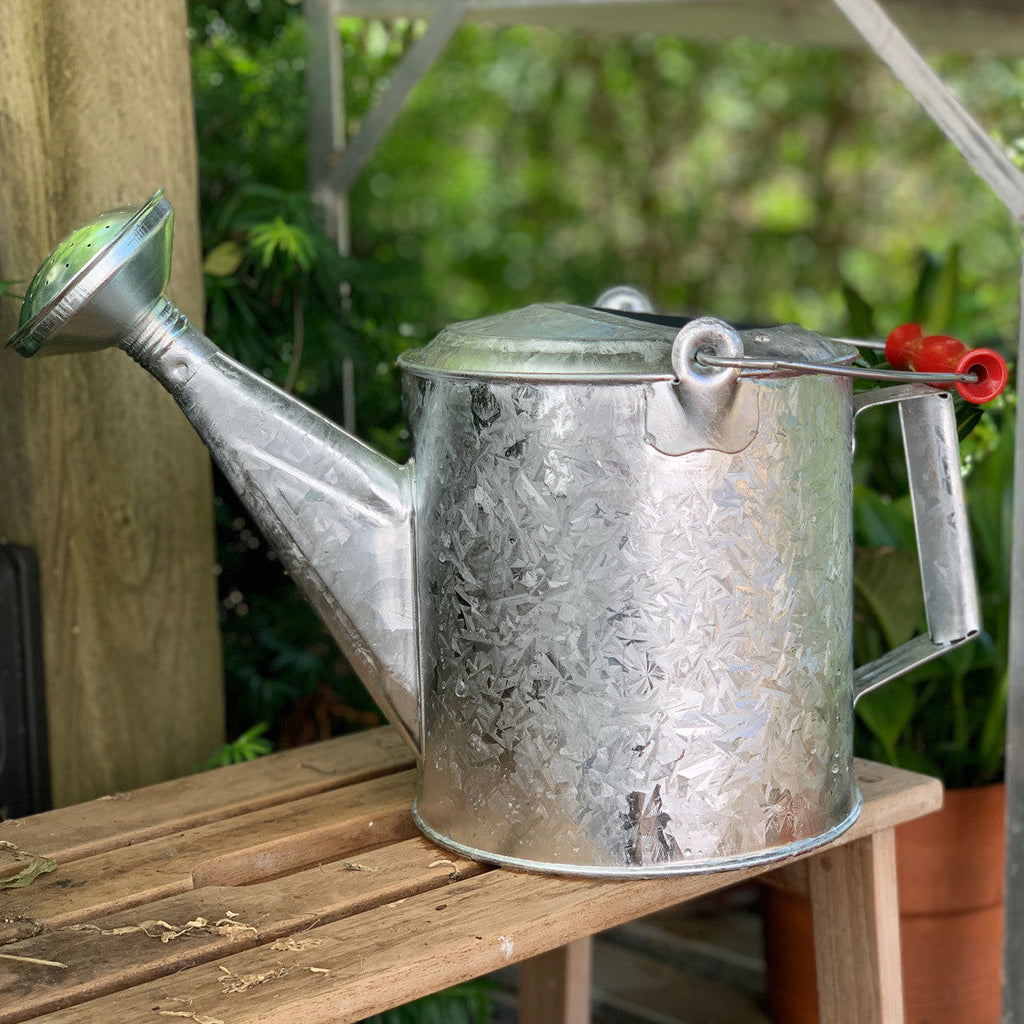 Regadera galvanizada de 1.5 galones con mango de madera
