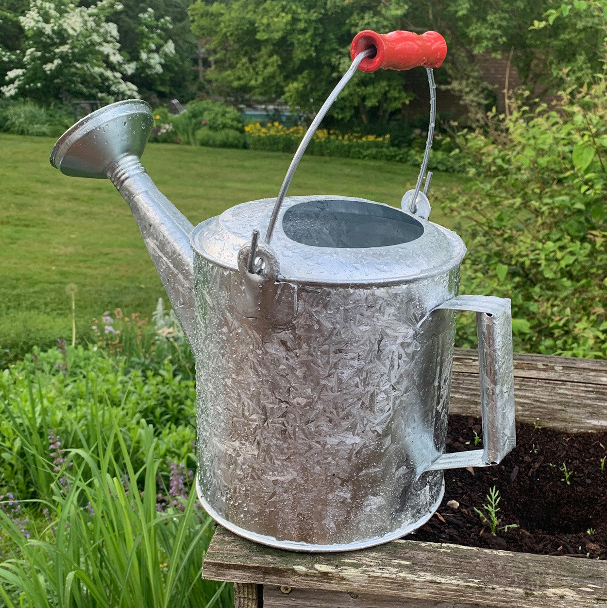 Regadera galvanizada de 1.5 galones con mango de madera