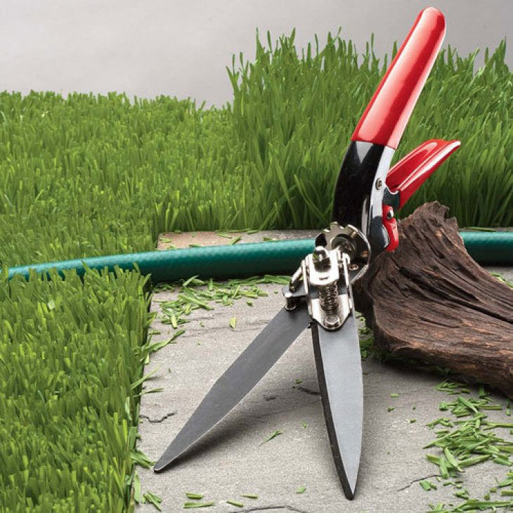 Tijeras de podar de precisión para césped con mangos ergonómicos rojos para bordes de jardín