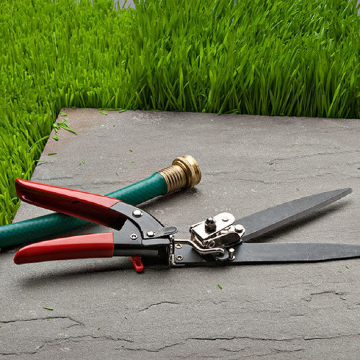 Tijeras de podar de precisión para césped con mangos ergonómicos rojos para bordes de jardín