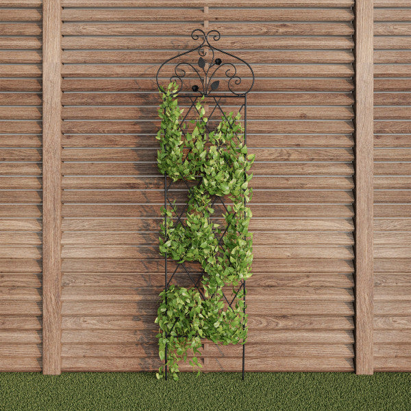 Celosía de jardín de metal negro ornamentada de 63 pulgadas de alto para plantas trepadoras