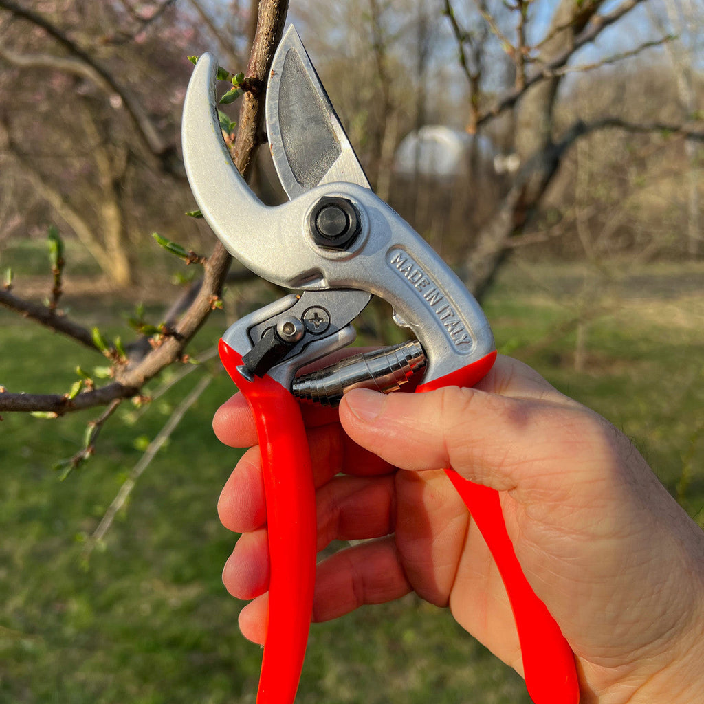 Tijeras de podar ergonómicas rojas con sistema bypass para poda de precisión en el jardín
