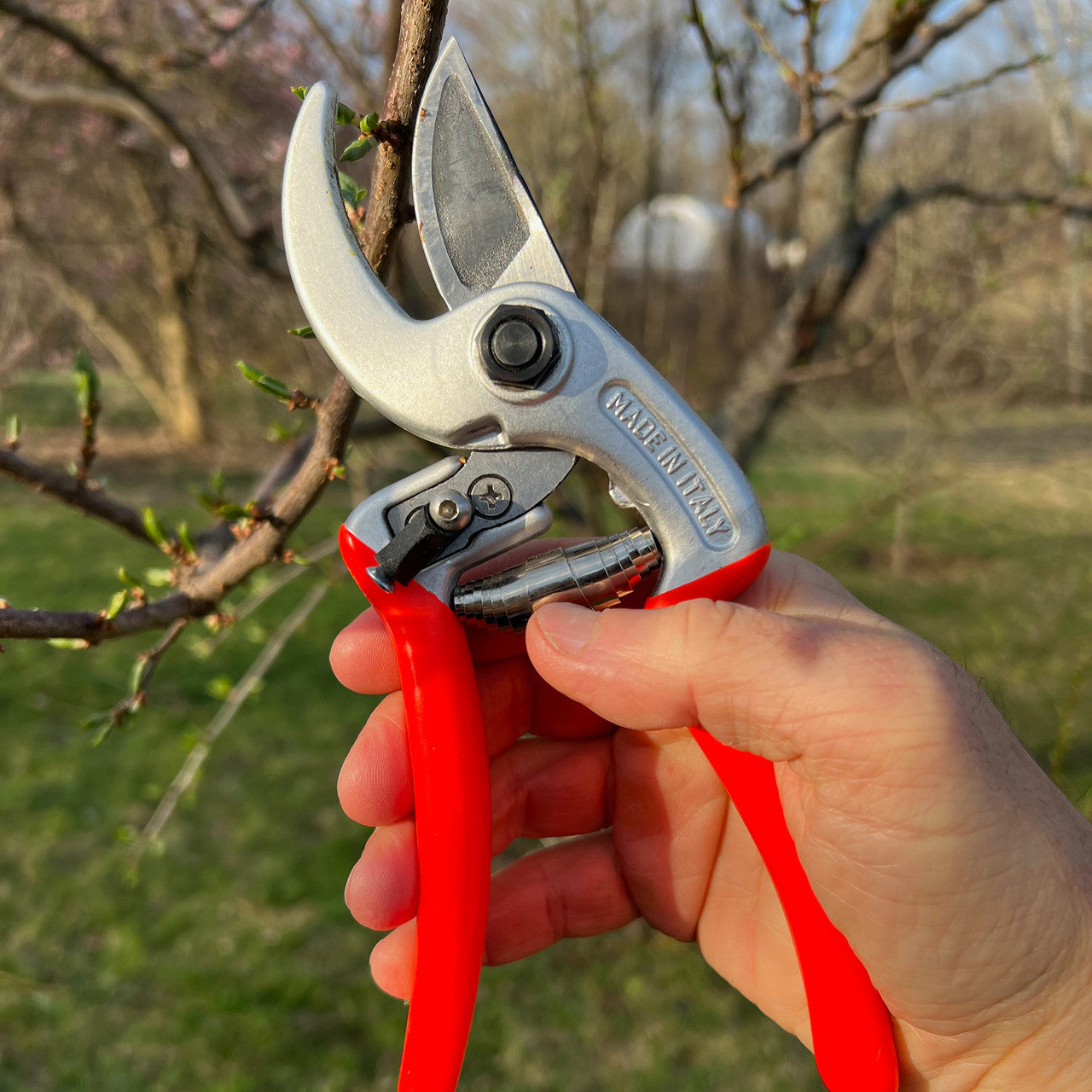 Tijeras de podar ergonómicas rojas con sistema bypass para poda de precisión en el jardín