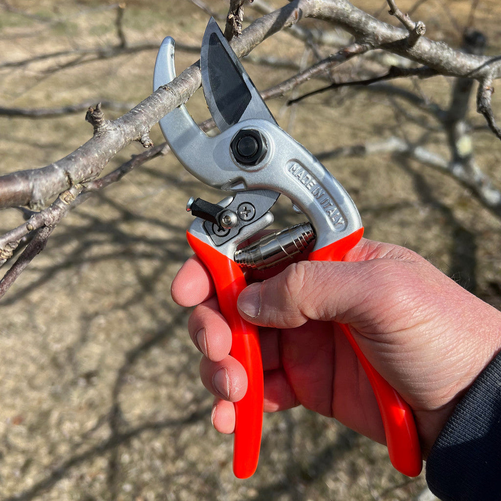 Tijeras de podar ergonómicas rojas con sistema bypass para poda de precisión en el jardín