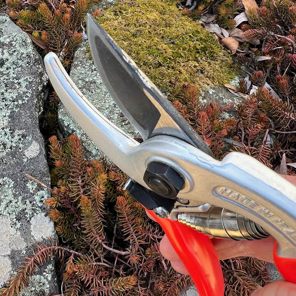 Tijeras de podar ergonómicas rojas con sistema bypass para poda de precisión en el jardín