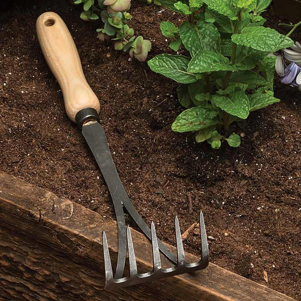 Rastrillo de mano de 5 dientes de acero al carbono para jardín con mango de fresno