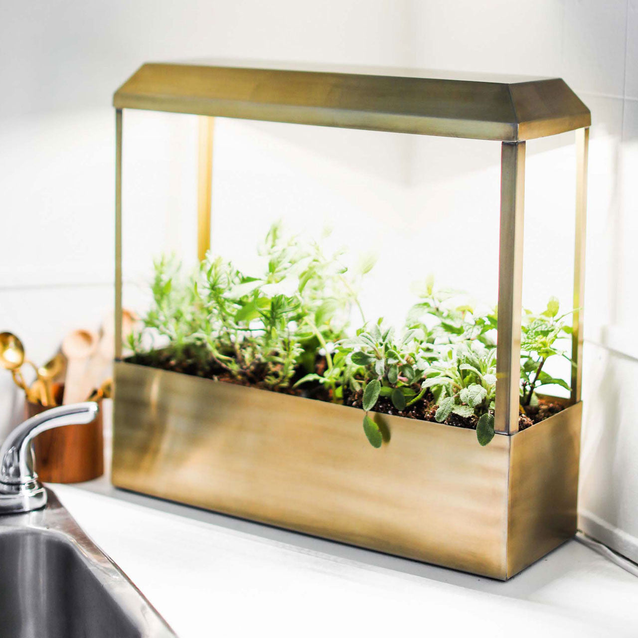 Jardinera de interior para hierbas de latón con luces LED y luces de crecimiento