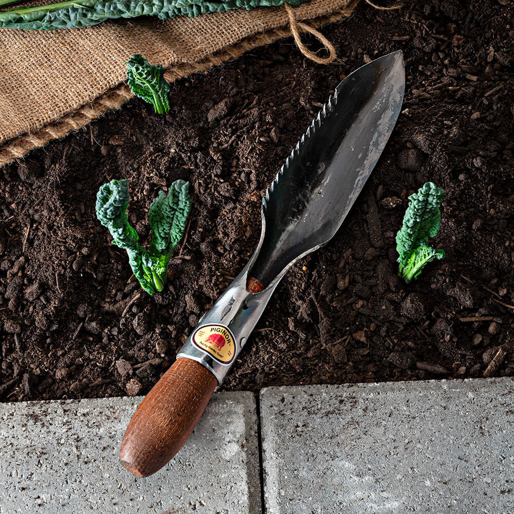 Cuchillo de jardín para desenterrar, pala de mano con hoja dentada y mango oscuro