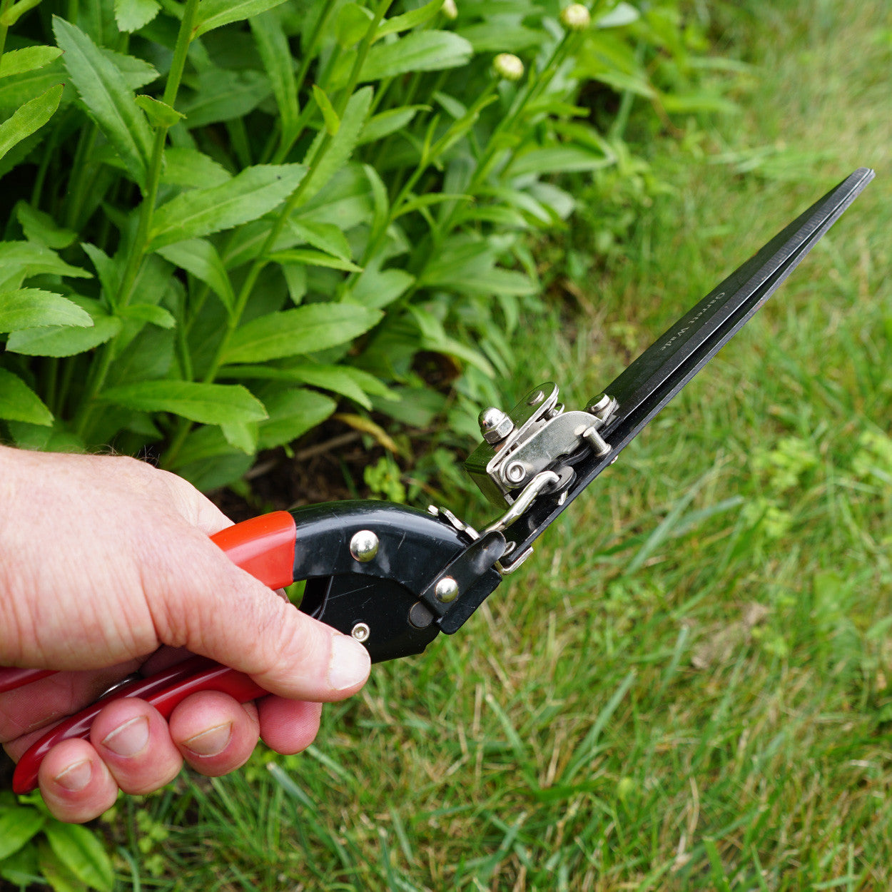 Tijeras de podar de precisión para césped con mangos ergonómicos rojos para bordes de jardín