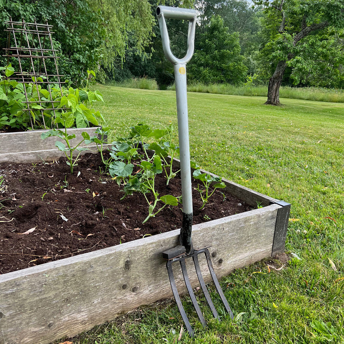 Horquilla de jardinería de cuatro dientes, acero de aleación de alta resistencia