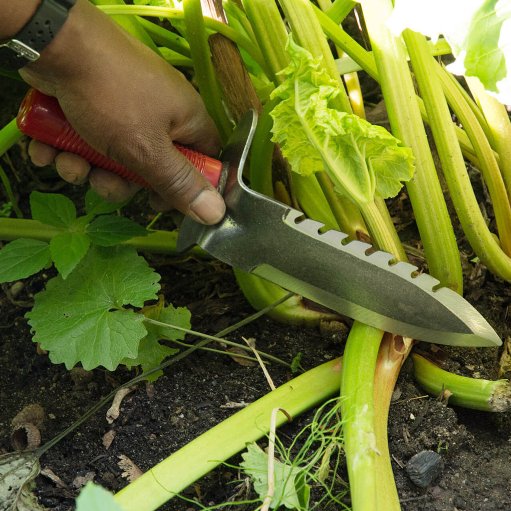 Herramienta de excavación de jardín resistente con hoja dentada y mango rojo