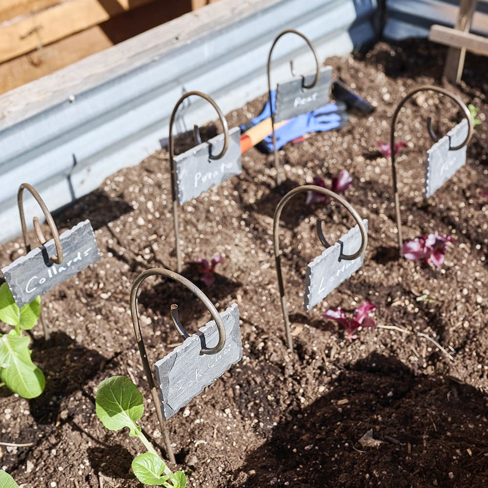 Etiquetas de pizarra para jardín con estacas de acero en espiral para jardín