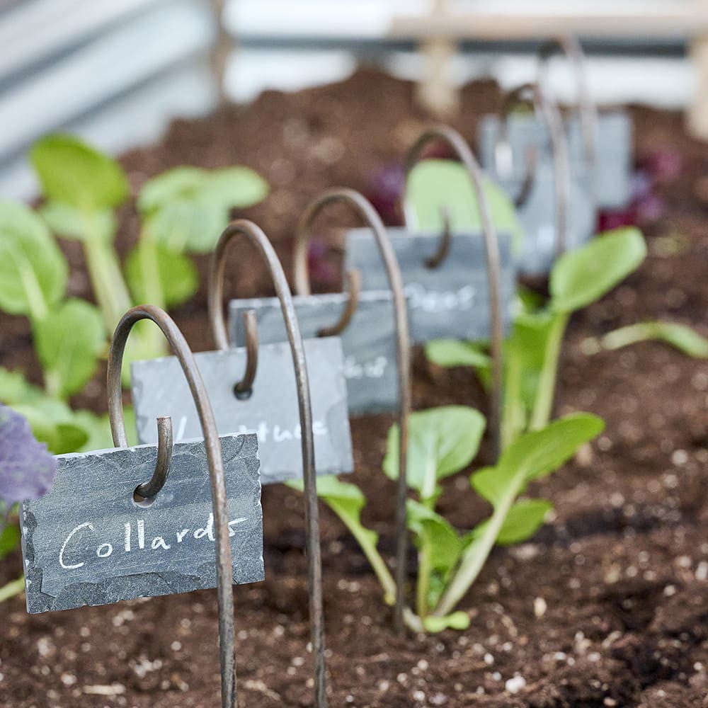 Etiquetas de pizarra para jardín con estacas de acero en espiral para jardín