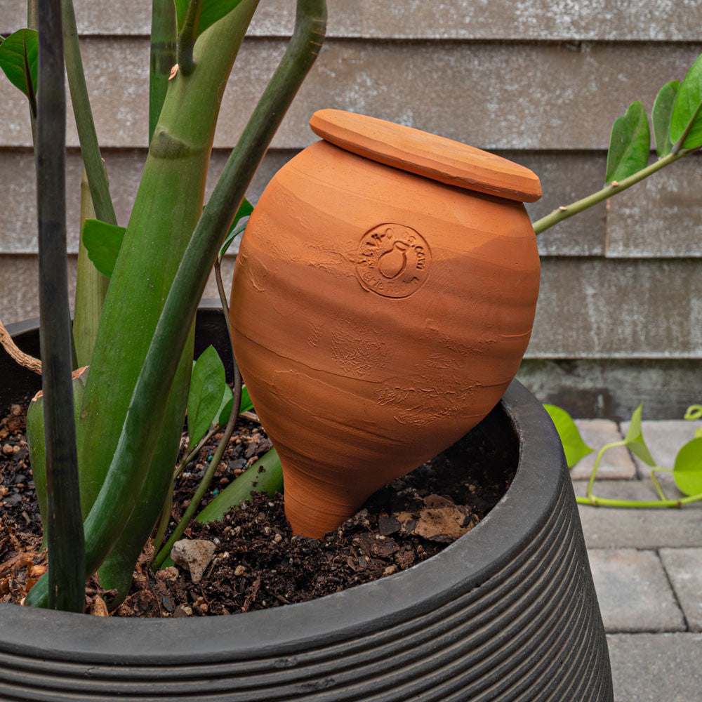 Hidratador de plantas de terracota pequeño con forma de lágrima