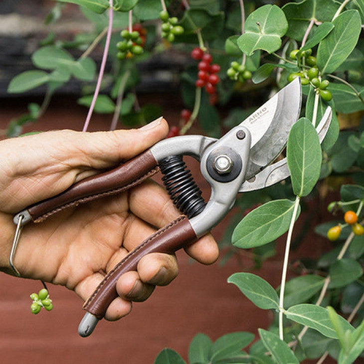 Tijeras de podar de derivación con empuñadura de cuero marrón, acero forjado, 8 pulgadas, para jardín